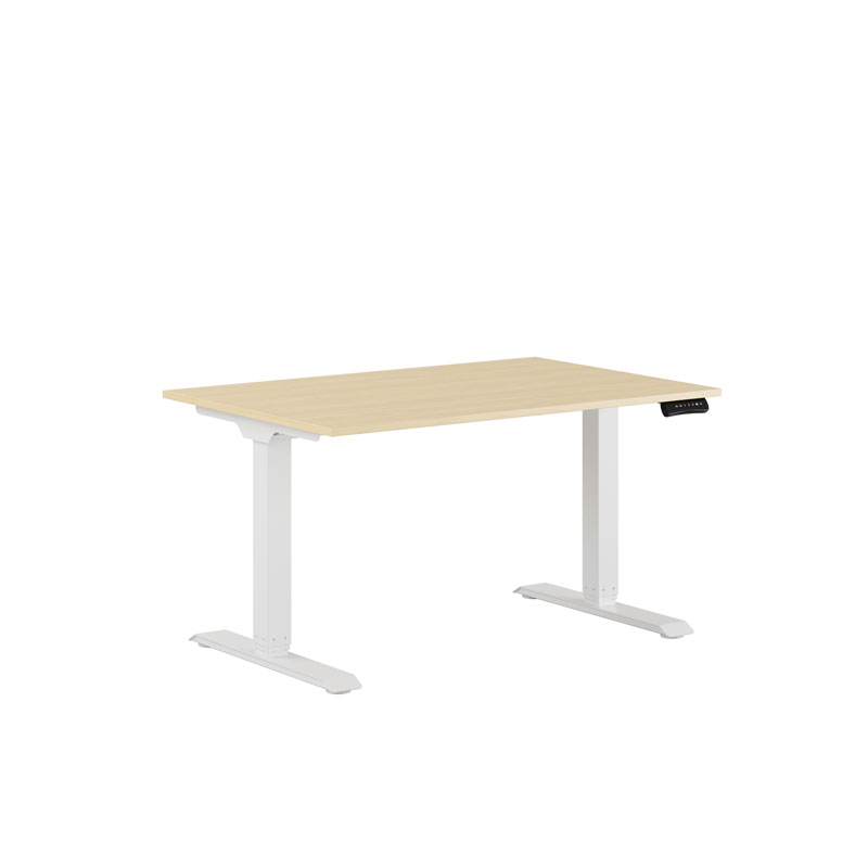 Premium Hæve/Sænkebord m/2 motorer 120x80cm
