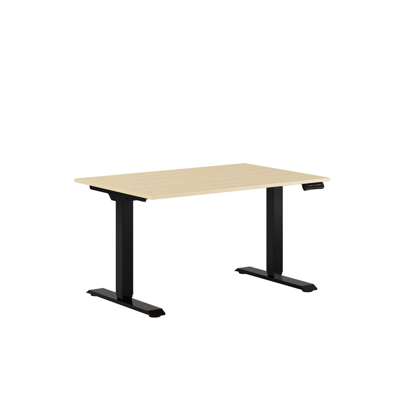 Premium Hæve/Sænkebord m/2 motorer 120x80cm