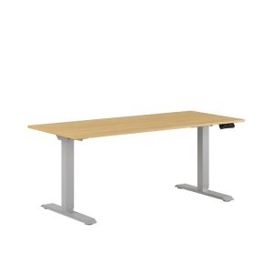 Premium Hæve/Sænkebord m/2 motorer 160x70cm