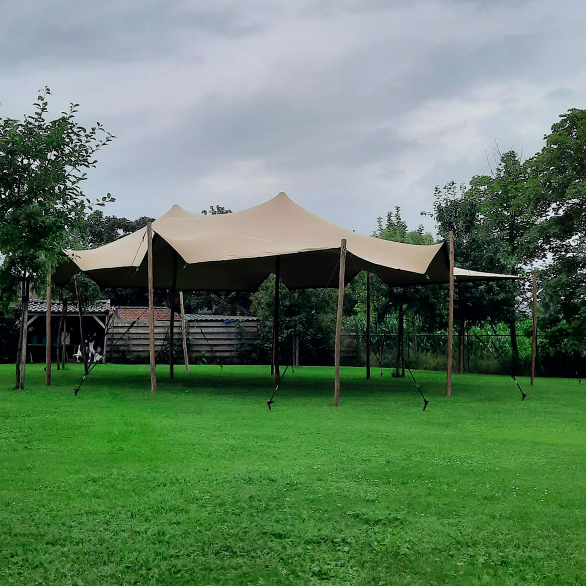 Stretch Tent - 6x6m dug - Komplet
