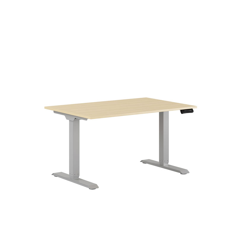 Premium Hæve/Sænkebord m/2 motorer 120x80cm