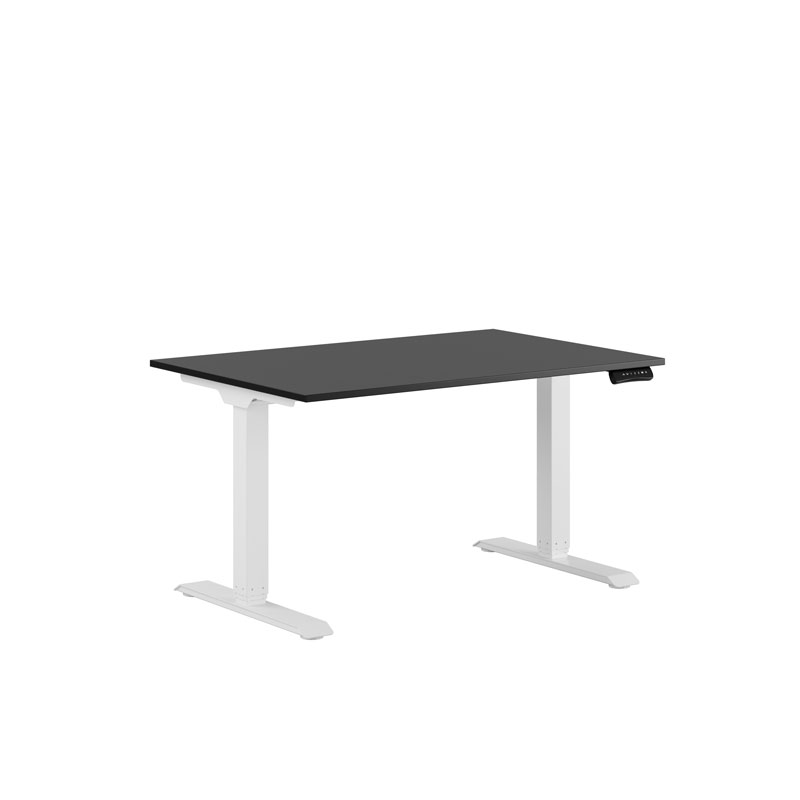 Premium Hæve/Sænkebord m/2 motorer 120x80cm