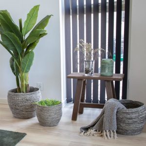 Teak Bænk i genbrugsteak