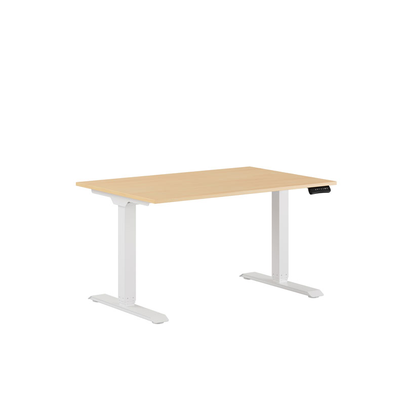 Premium Hæve/Sænkebord m/2 motorer 120x80cm